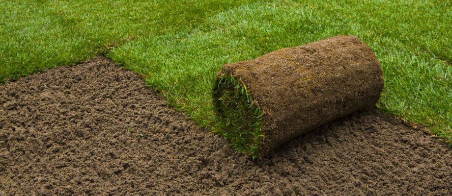 Turf Contractors Gilbert Az